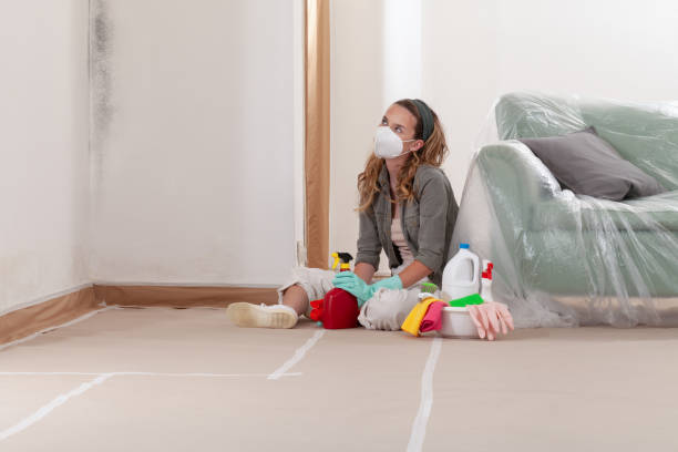 Reliable Mold Remediation contractor in Lexington, IL by WQB Mold Removal